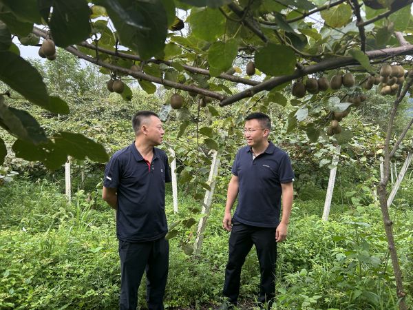 情系鄉(xiāng)村暖人心 聚力振興再出發(fā) 周川州赴道真仡佬族苗族自治縣親切慰問(wèn)駐村干部